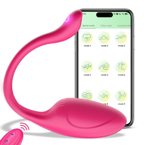 Couple Remote Vibrator Sex Toy for Women Price in Pakistan